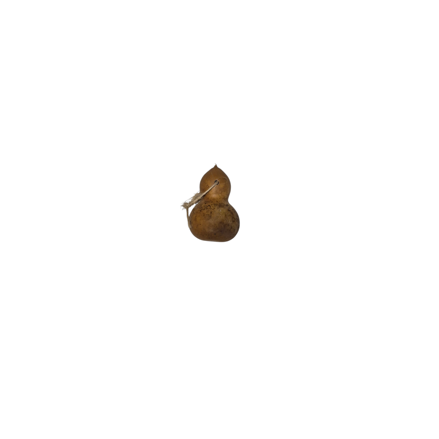 Cabaça pequena